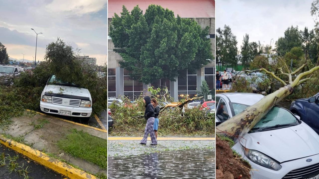 Suspenden clases en FES Aragón tras tormenta y caída de árboles