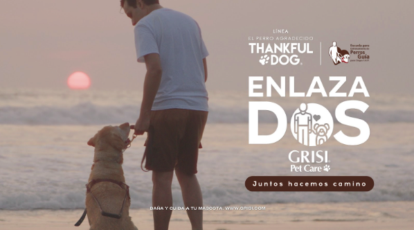 EnlazaDOS de Thankful Dog, de Grupo Grisi que apoya a la Escuela para Entrenamiento de Perros Guía para Ciegos IAP