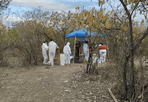 DESCUBREN FOSAS CLANDESTINAS EN SAN LUIS POTOSÍ: CRIMINALES DISOLVÍAN CUERPOS EN ÁCIDO