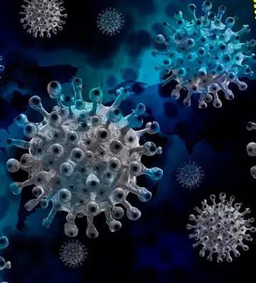 NUEVO CORONAVIRUS EN MURCIÉLAGOS: ¿UNA AMENAZA PARA LOS HUMANOS?