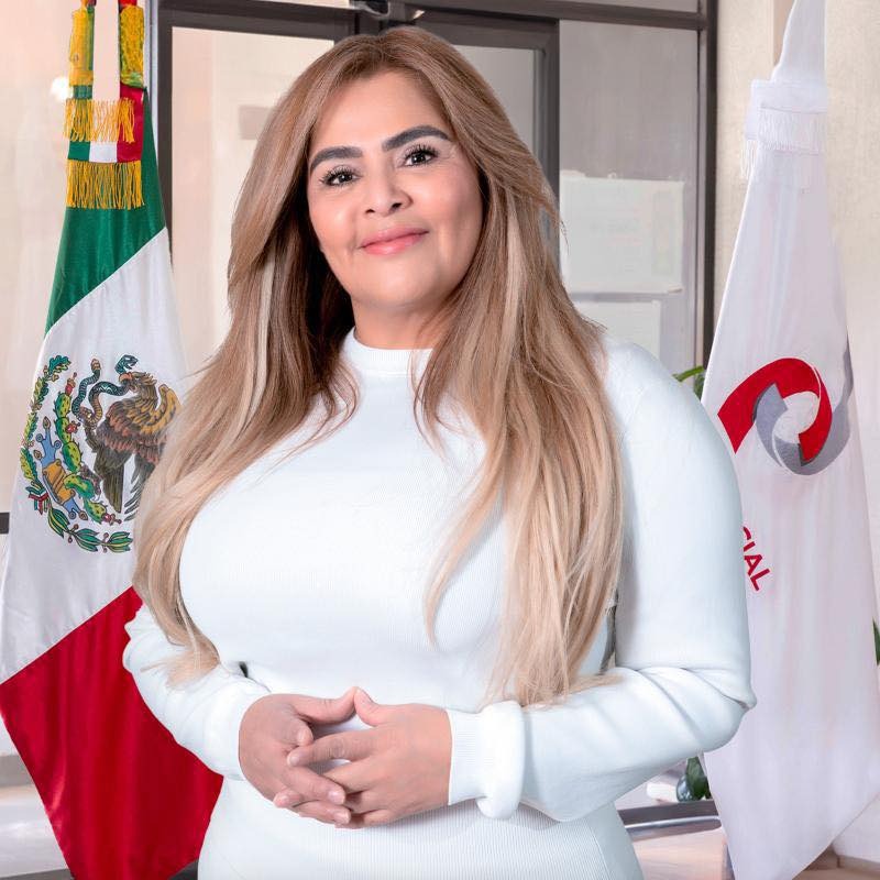 ¿QUIÉN ES ERIKA ICELA CASTILLO? LO QUE DEBES SABER SOBRE LA CANDIDATA AL PODER JUDICIAL DEL ESTADO DE MÉXICO