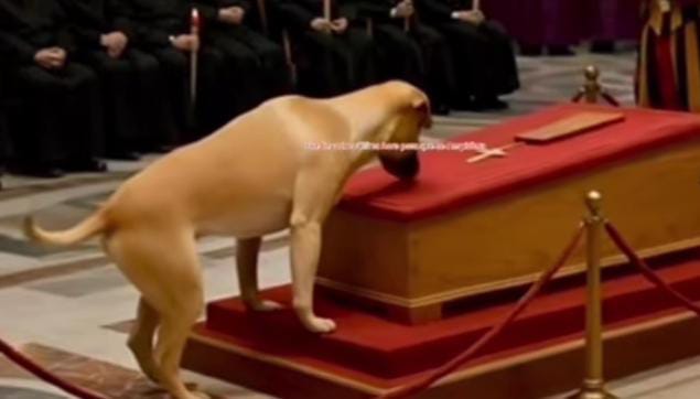 EL PERRO DEL PAPA FRANCISCO: UNA HISTORIA VIRAL SIN BASE REAL