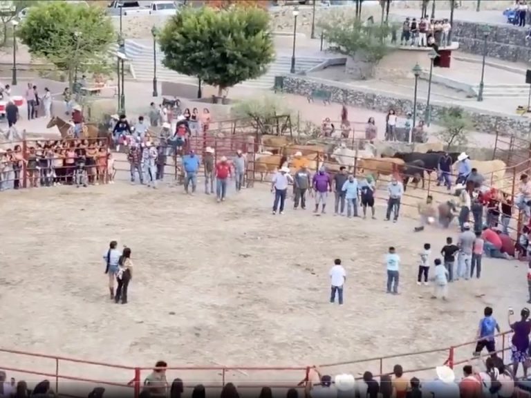 INVESTIGAN CASO DE CRUELDAD ANIMAL EN RODEO DE XICHÚ, EN GUANAJUATO