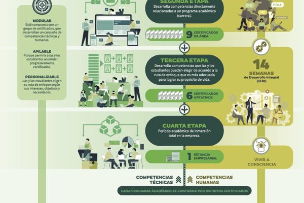 ADIÓS A LAS MATERIAS, HOLA A LOS CERTIFICADOS: LA EVOLUCIÓN DE LA EDUCACIÓN