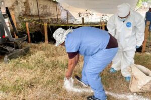 ENCUENTRAN 83 CUERPOS EN FOSAS CLANDESTINAS EN JOJUTLA