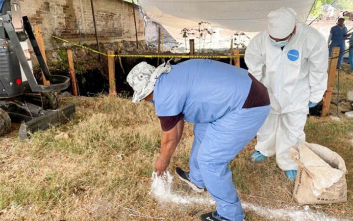 ENCUENTRAN 83 CUERPOS EN FOSAS CLANDESTINAS EN JOJUTLA