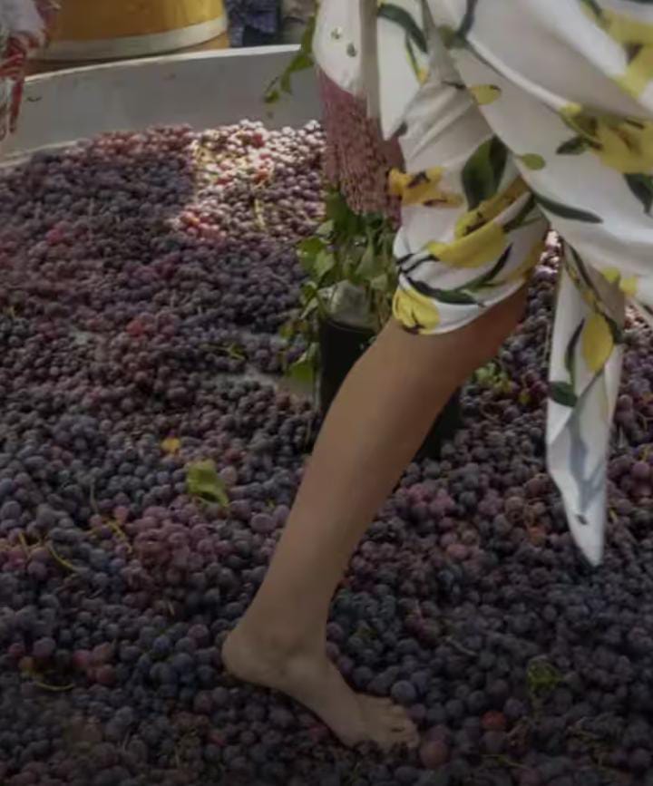 CELEBRA EL VERANO ENTRE VIÑEDOS
