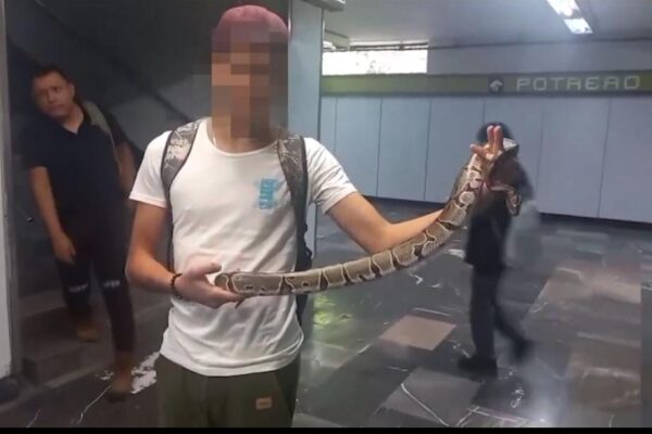 DETIENEN A JOVEN CON SERPIENTE EN ESTACIÓN POTRERO DEL METRO CDMX