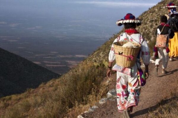 RUTA SAGRADA WIXÁRIKA: NUEVO PATRIMONIO DE LA HUMANIDAD