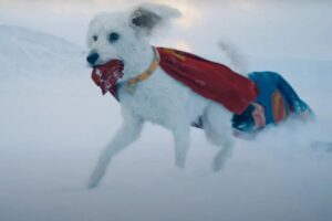 SUPERMAN DISPARA LAS ADOPCIONES CANINAS TRAS SU ESTRENO EN CINES
