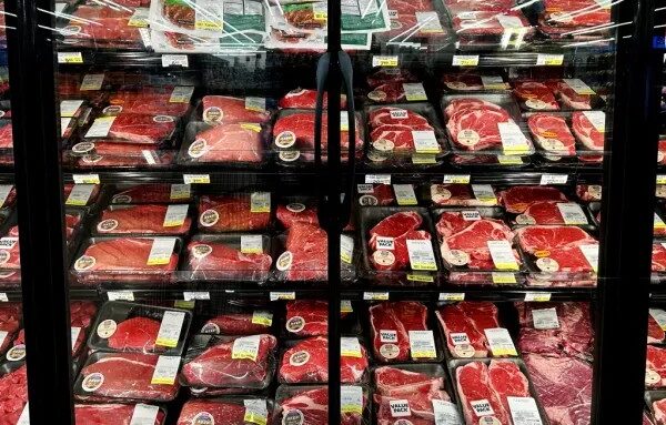 EN EU CARNE DE RES ROMPE RÉCORD Y SUBE 9%