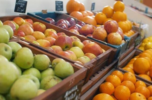 ALIMENTOS ACAPARAN EL GASTO CON CASI EL 38% EN HOGARES
