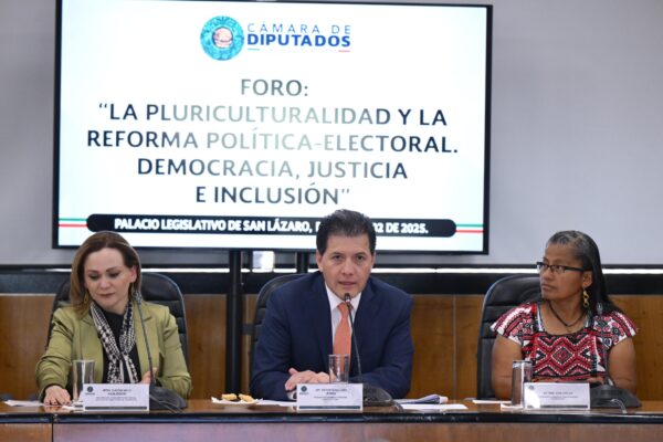 Lobo Román coloca a los pueblos originarios en el centro del debate rumbo a la reforma electoral