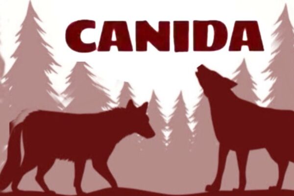 Colectivo CANIDA emite llamado urgente por menor en situación de vulnerabilidad.