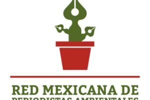 Libertad de expresión y derecho a la información: pilares del periodismo ambiental