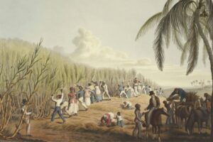 Asamblea General de la ONU declara la trata de esclavos africanos como el crimen más grave contra la humanidad