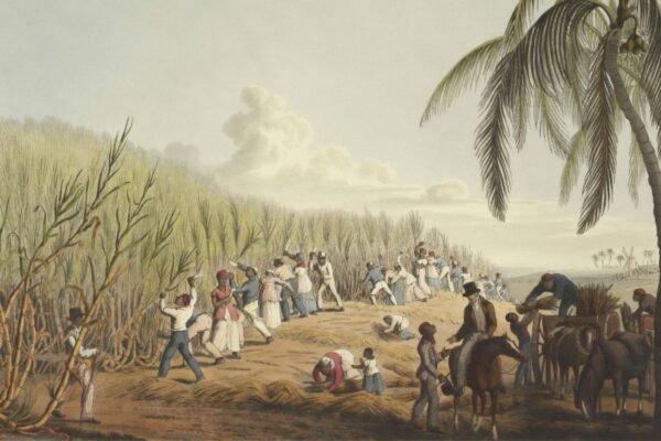 Asamblea General de la ONU declara la trata de esclavos africanos como el crimen más grave contra la humanidad