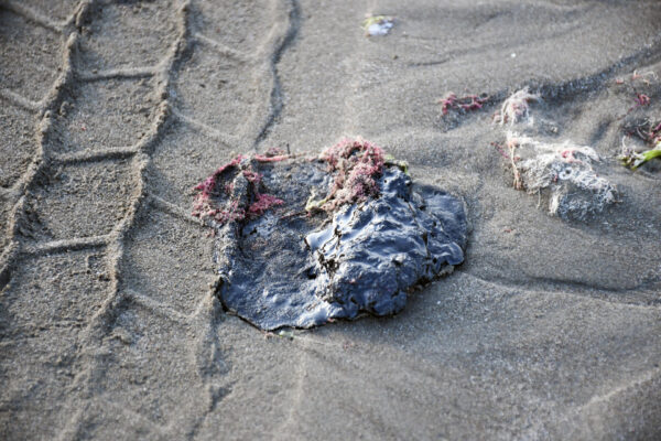 Gobierno federal identifica tres fuentes del derrame de hidrocarburos en el Golfo de México