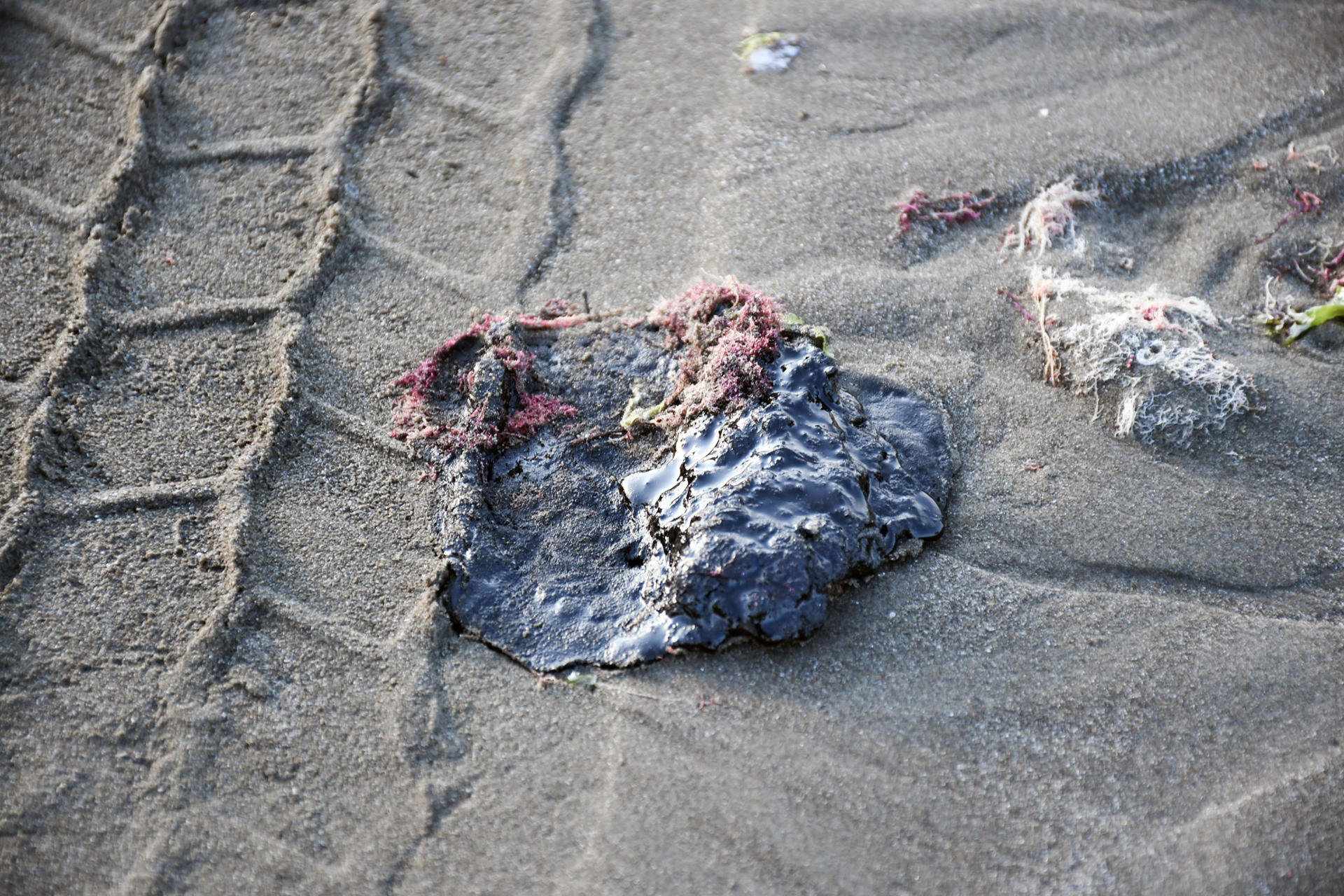 Gobierno federal identifica tres fuentes del derrame de hidrocarburos en el Golfo de México