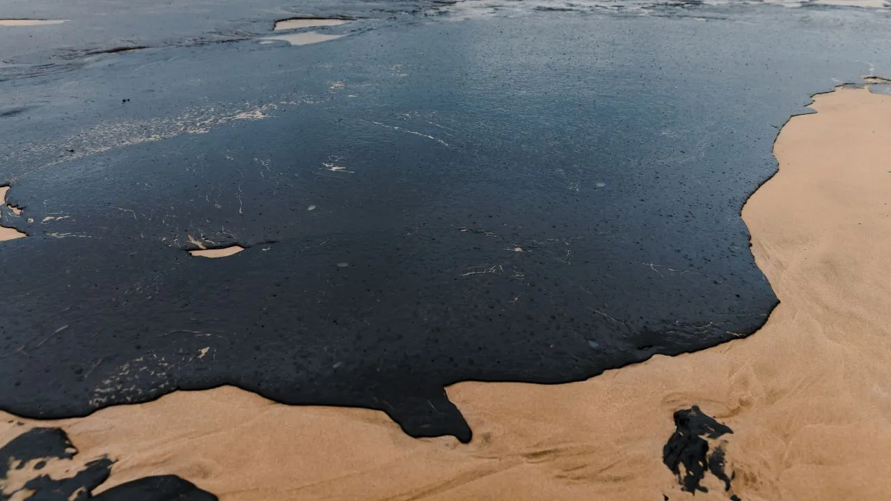 Greenpeace y autoridades discrepan sobre magnitud de derrame en Golfo de México