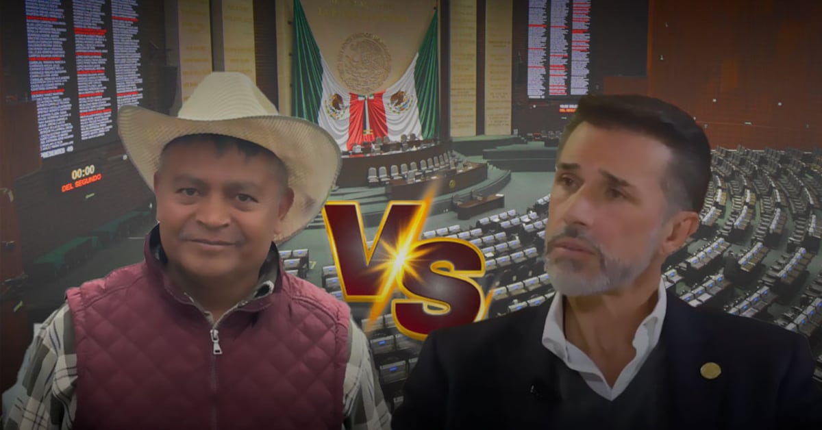 Polémica por retorno de Mayer a Cámara y denuncia de Morales