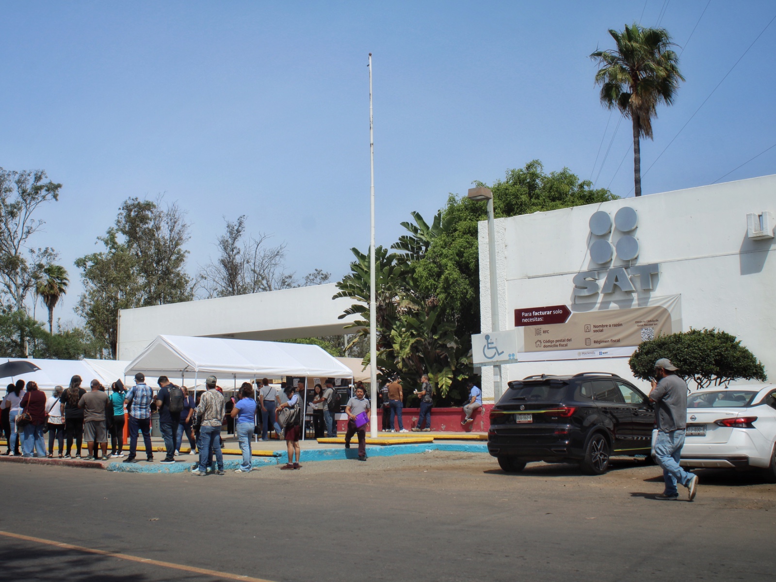 SAT abre plazo para declaración anual de personas físicas durante abril