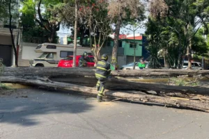 Sentencia de 60 años, riña mortal y daños por viento marcan la agenda de seguridad en la Ciudad de México