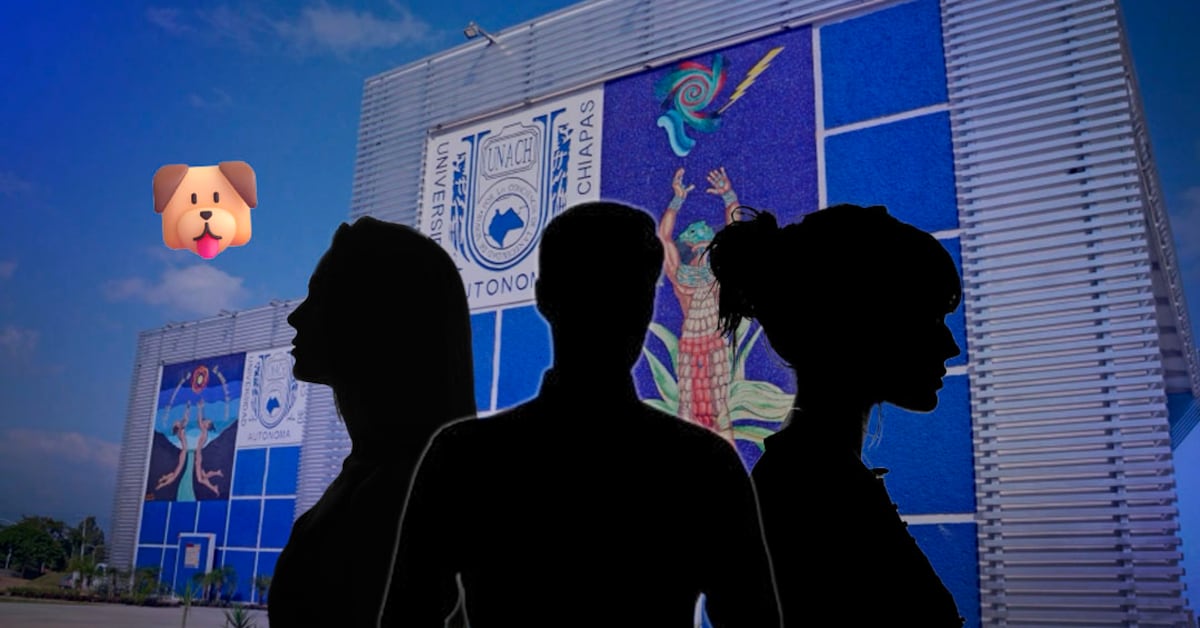 Denuncian a estudiantes de veterinaria de la UNACH por muerte de perra callejera en Copainalá