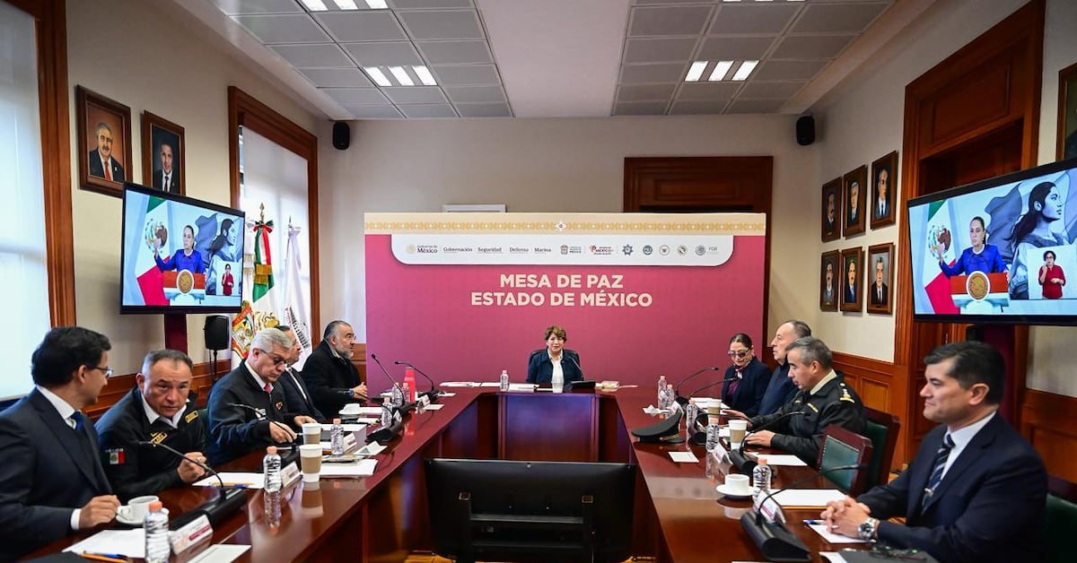 Clausuran 53 anexos de rehabilitación en Estado de México; 8 detenidos por presuntos delitos