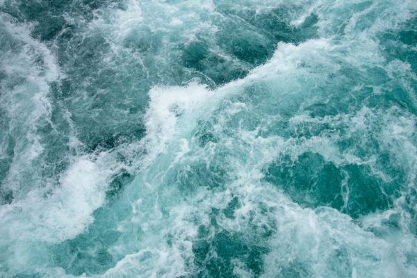 Señalan ‘grilla’ en el Senado por porras a Raúl Morón durante visita de Grecia Quiroz