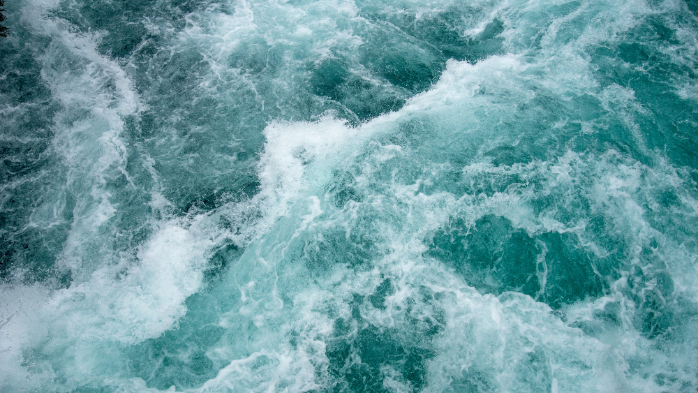 Señalan ‘grilla’ en el Senado por porras a Raúl Morón durante visita de Grecia Quiroz