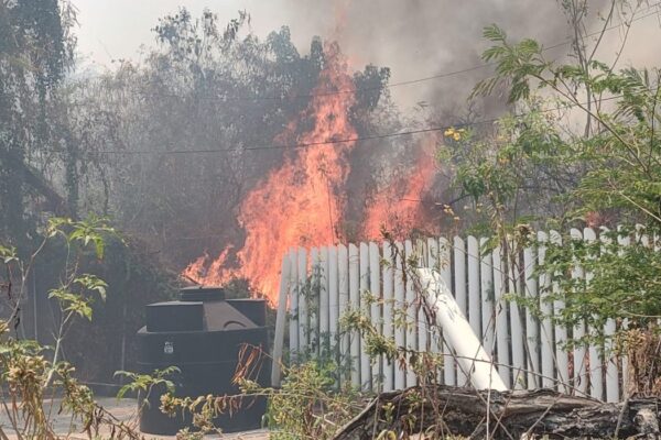 Controlan incendio de seis hectáreas en zona Diamante de Acapulco