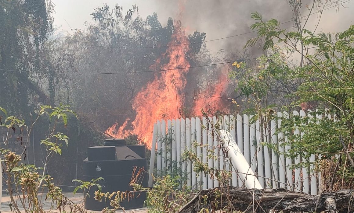 Controlan incendio de seis hectáreas en zona Diamante de Acapulco