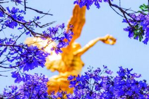 Inauguran primer Festival de las Flores de Primavera en la Ciudad de México