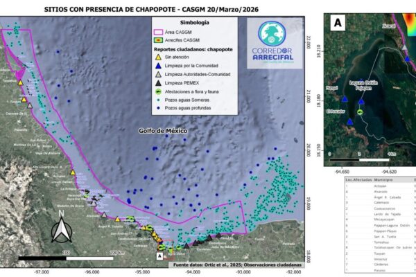 Derrame de hidrocarburo afecta 630 kilómetros de costa en Tabasco; hay discrepancia sobre control del incidente