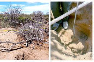 Hallan 10 fosas clandestinas y exhuman 13 cuerpos en Comondú, Baja California Sur