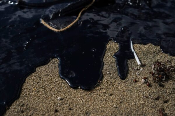 Derrame de petróleo en el Golfo de México afecta 630 kilómetros de litoral en Veracruz