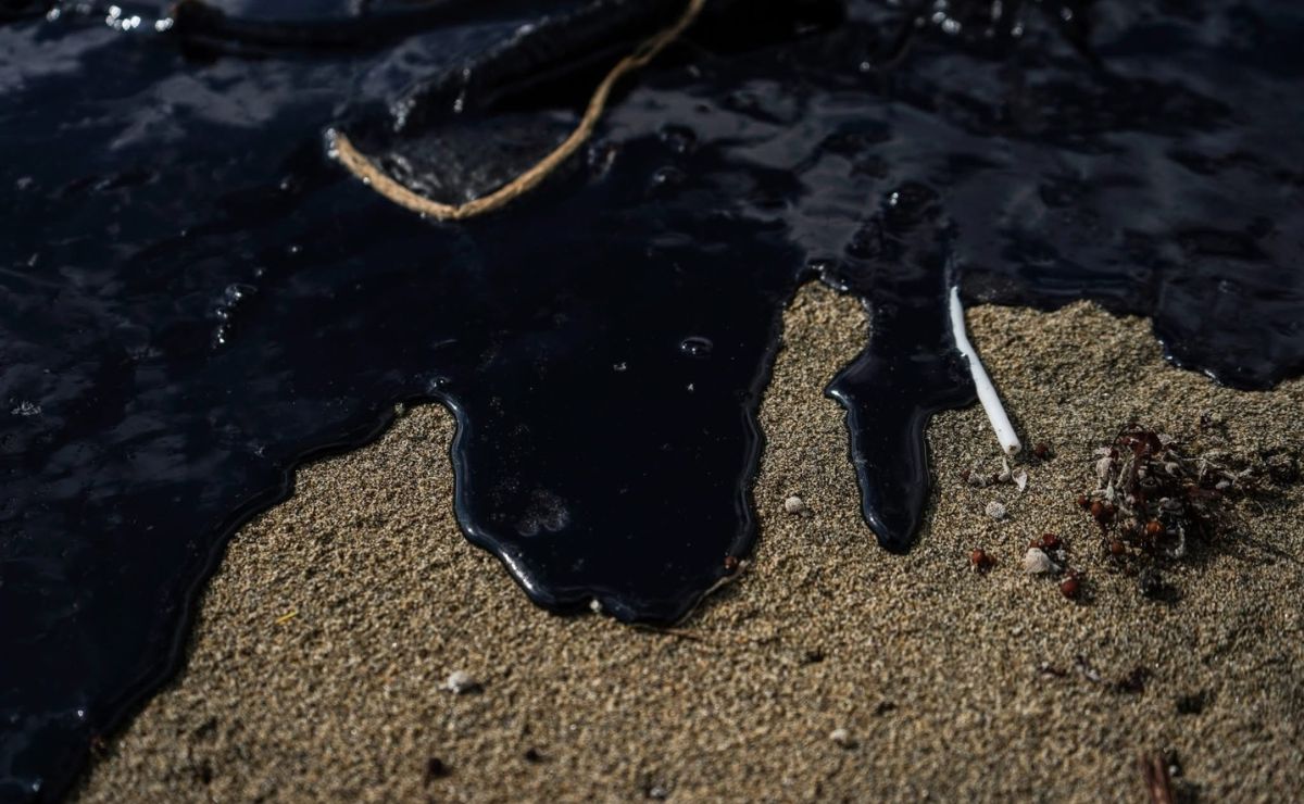 Derrame de petróleo en el Golfo de México afecta 630 kilómetros de litoral en Veracruz