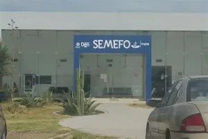 Reportan cuatro incidentes de seguridad y vialidad en la Comarca Lagunera; hallan feto y detienen a dos por violencia familiar