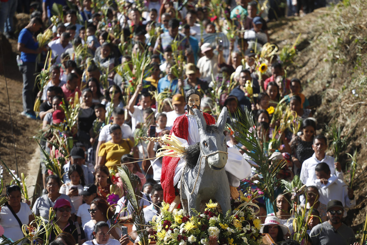 Papa León XIV llama a deponer las armas en Medio Oriente durante misa de Domingo de Ramos