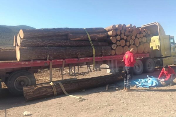 Violencia vial deja seis muertos y dos lesionados en incidentes separados en el norte y centro de México