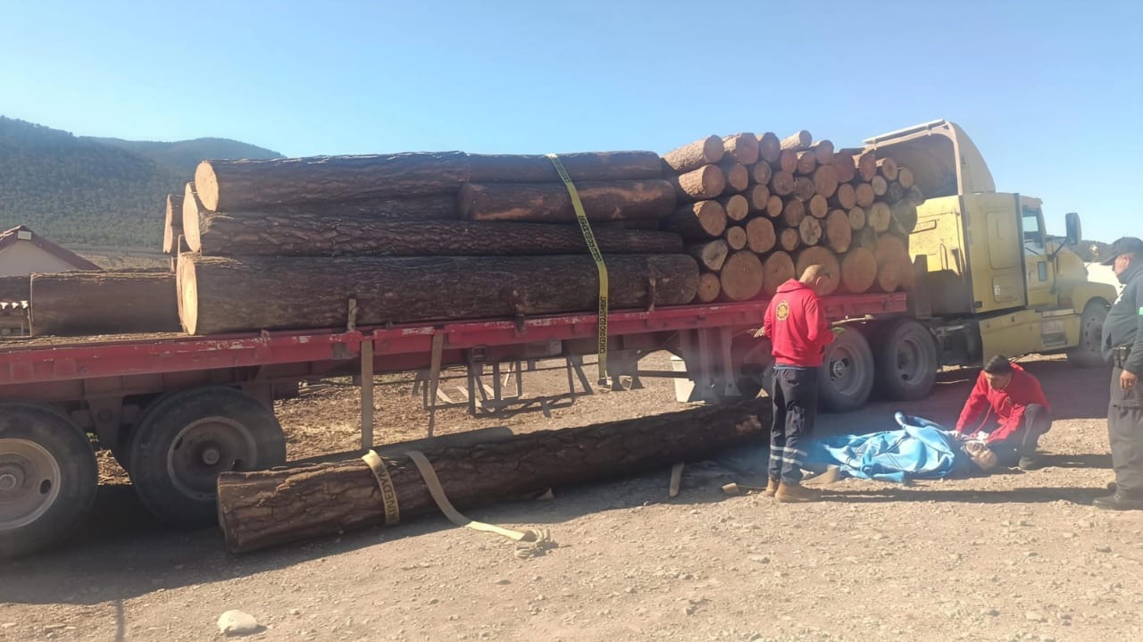 Violencia vial deja seis muertos y dos lesionados en incidentes separados en el norte y centro de México