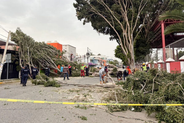 Frente Frío 41 azota México con vientos, lluvias y frío extremo