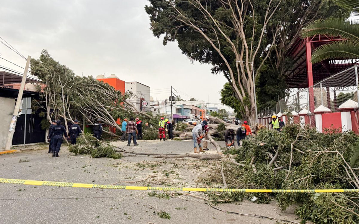 Frente Frío 41 azota México con vientos, lluvias y frío extremo
