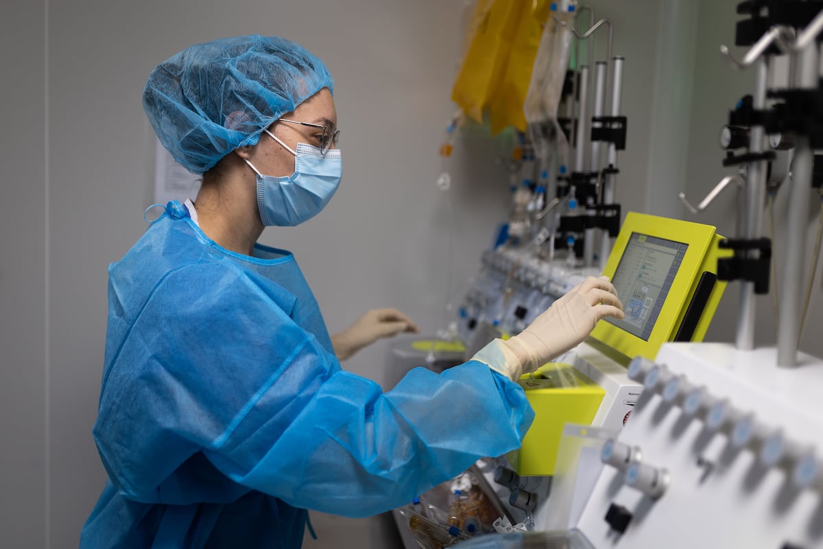 Hallan contaminantes en tiburones de Bahamas y revelan nuevos datos sobre poblamiento de América