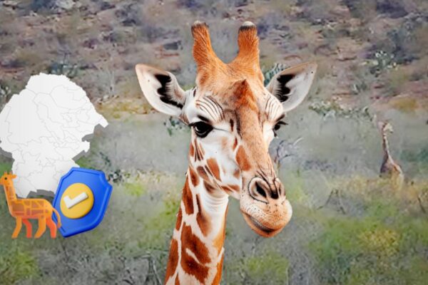 Presentan especie de mosasaurio y consolidan conservación de fauna en el Museo del Desierto