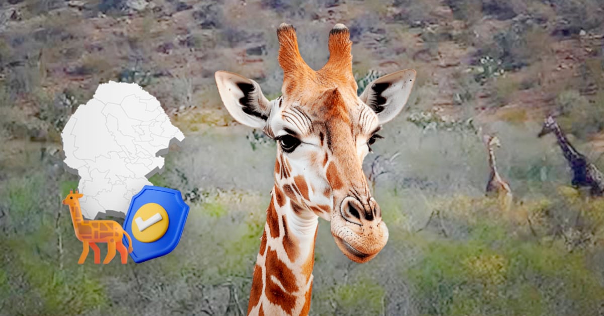 Presentan especie de mosasaurio y consolidan conservación de fauna en el Museo del Desierto