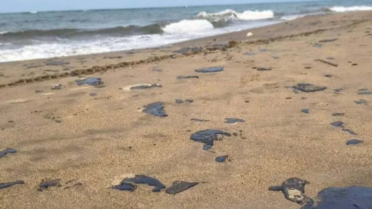Derrame de hidrocarburos afecta más de 230 km de costa en Veracruz y Tabasco; autoridades buscan origen