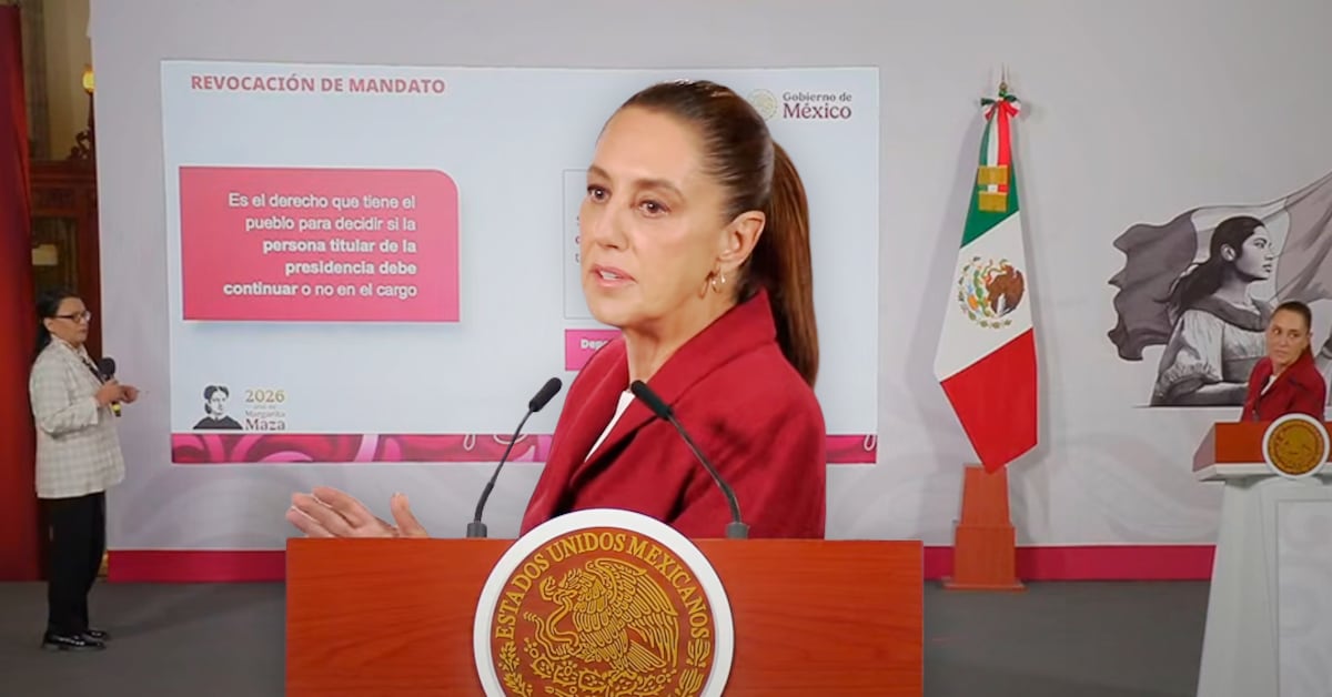 Sheinbaum envía al Senado Plan B electoral con recortes y austeridad