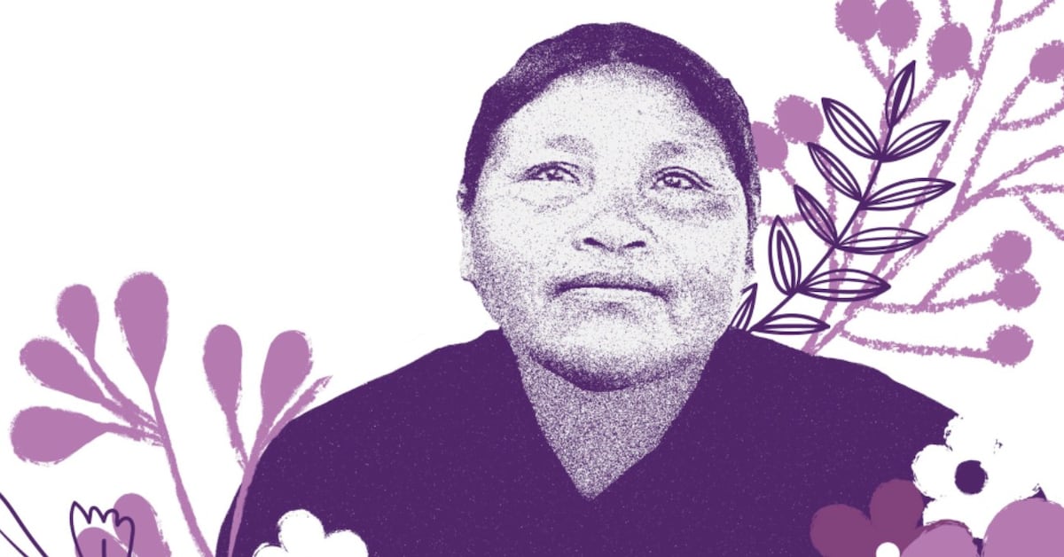 Corte IDH condena a México por caso de Ernestina Ascencio